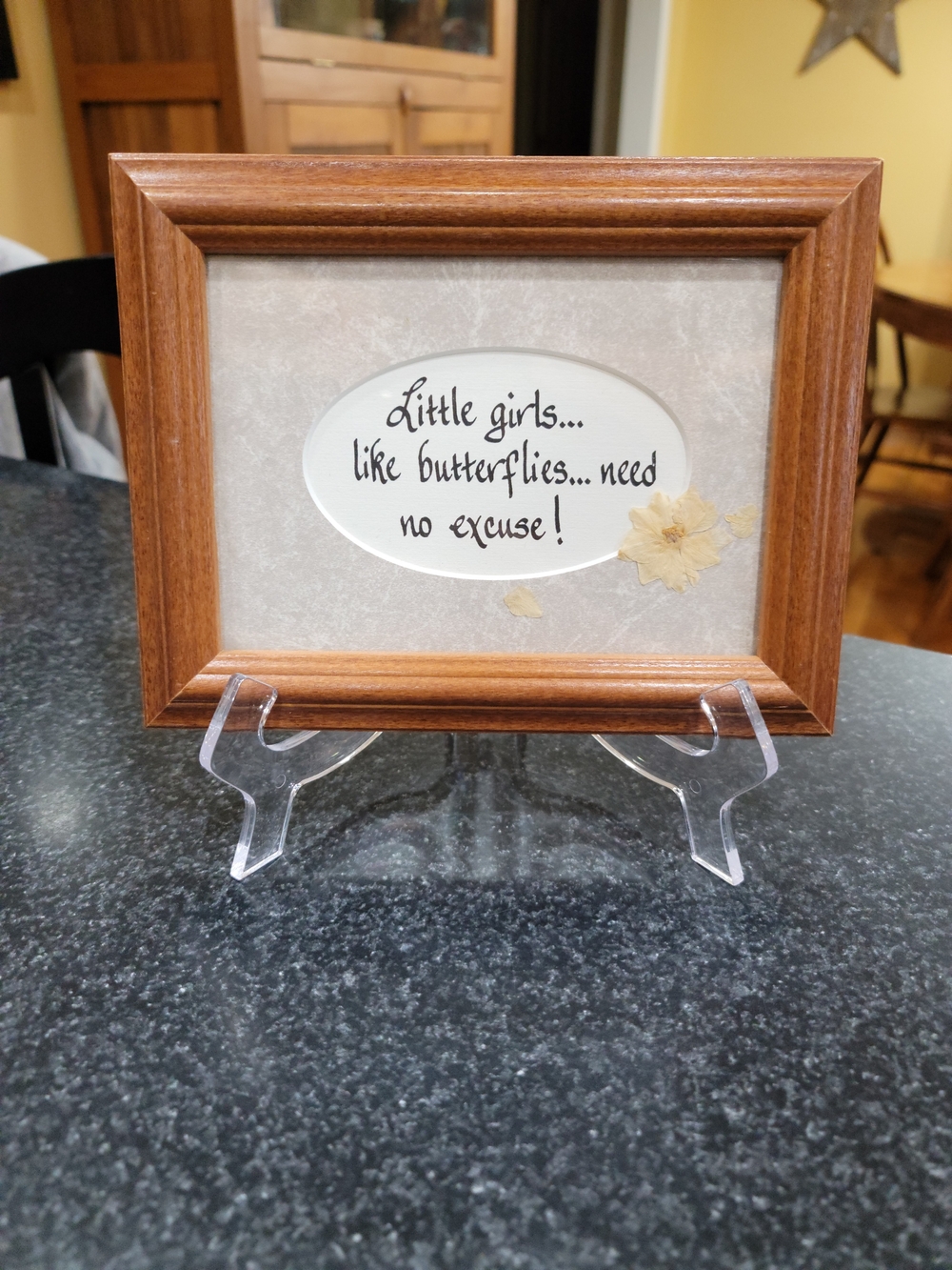 Vintage Wood Framed Quote Art "Little Girls Like Butterflies Need No Excuse"